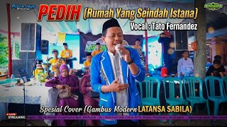 PEDIH (Rumah Yang Seindah Istana) cover LATANSA SABILA - Tato Fernandes 
