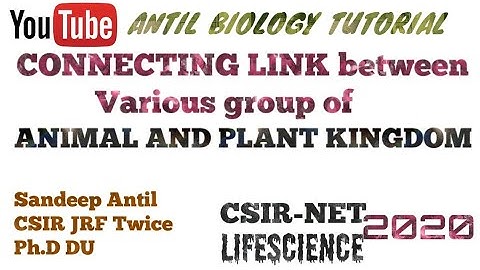 Connecting link between various groups of Animal and plant kingdom| Diversity| CSIR NET 2020|