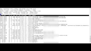 Hacker Spanker Stops Brute Force Login Attemtps