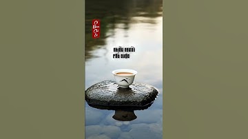 Đây Là Lúc Để  Ngộ  Ra  Sống Như Thế Nào Để Không Hối Tiếc #trietlycuocsong #truyendongluc