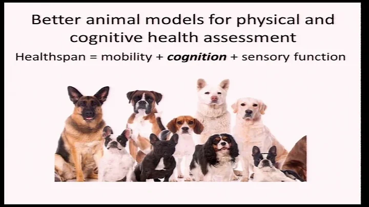 Cognitive Aging Summit III | Dr. Steven Austad | Cognitive Aging: New and Improved Animal Models