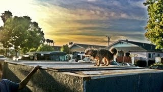 nick throwaway