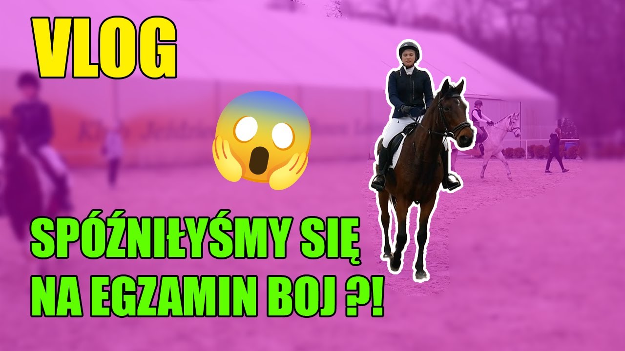 SPÓŹNIŁYŚMY SIĘ NA EGZAMIN BRĄZOWEJ ODZNAKI?! 😱| 