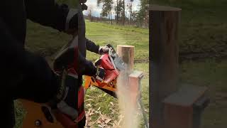 Wer von euch baut auch Weihnachtsdeko?🤔#blockbauheld #holzliebe #holz #blockbau #holzmachtglücklich