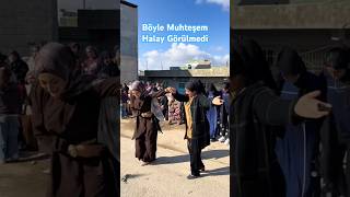 Böyle Muhteşem Halay Görülmedi Şfet Üğün I