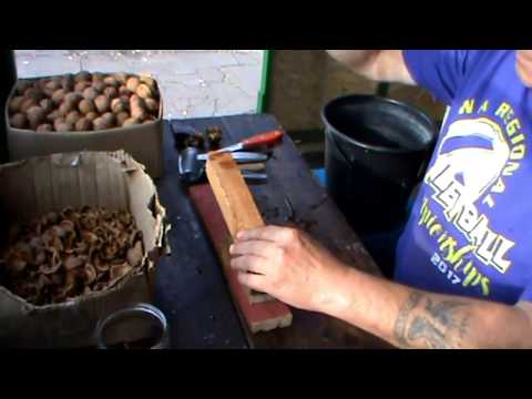 Орехокол для грецких орехов своими руками