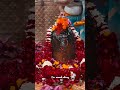 #jaimahakal #mahakal #rudraksha #shiv #status #varanasi #jyotirling #devotionalsong #devotional