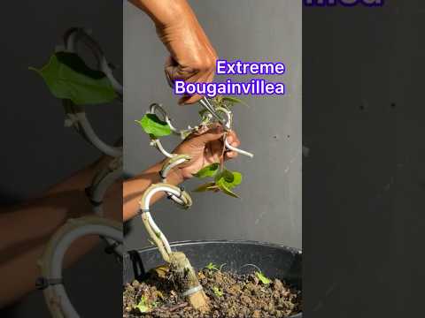 Easy Ways to