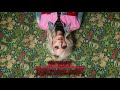 Miniature de la vidéo de la chanson Hey Kid