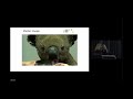 Victims, viruses, volunteers and vets - Lynleigh Greig & Joan Reid OAM