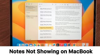 How to Fix Mac Notes App Not Showing Notes | Not Showing on MacBook Pro/Air.