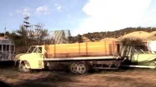 Wood Dog House - Which Side Are You On