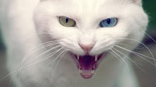MINIMAL TECHNO #33 MIX 2016