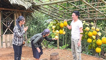 The old lady and (tieu ly) CEO Jack built the kitchen together before winter came.