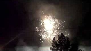 Nachtschicht Dessau 2009 Stadtpark Feuerwerk