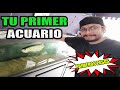 7 TIPS para iniciar tu primer acuario