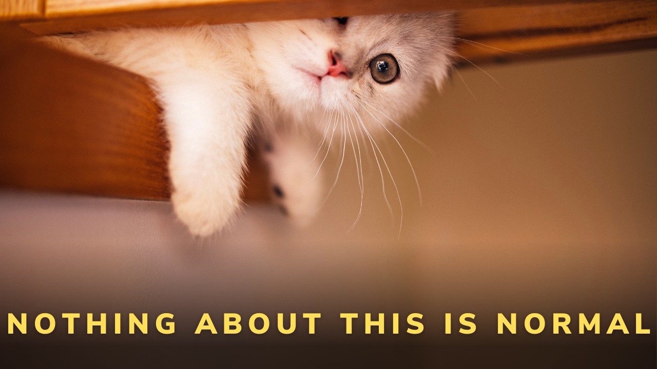 This setup has no endgame and will also fail