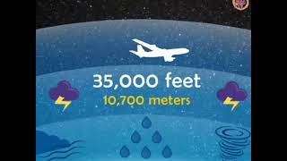 Do You Know Some Secret Information About Air Hostess