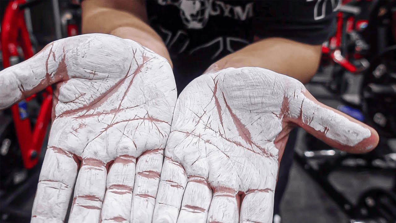 INTENSE HEAVY BACK WORKOUT WORLD GYM CHULLORA YouTube