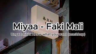 Miyaa - Faki Mali (Ugazcishi x Know what you want Mashup)