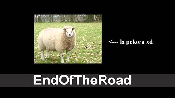 CS:GO Assault - Weapon stuck in a door and smoke