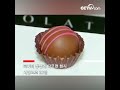 1kg 4만 위안, 인도산 초콜릿 황금 뿌렸나? |CCTV 한국어방송