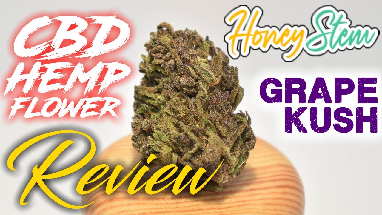 |Honey Stem| CBD Hemp Flower Review [GRAPE KUSH]