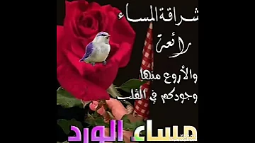 مساء الخير حالات واتساب 