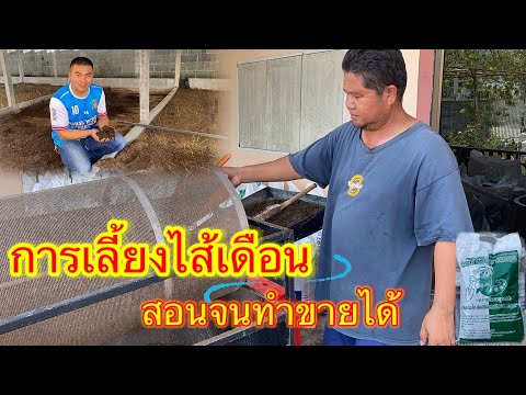 การเลี้ยงไส้เดือนสำหรับมือใหม่บอกทุกขั้นตอนไม่มีกั๊ก เริ่มต้นจากศูนย์ก็เลี้ยงได้ #เลี้ย