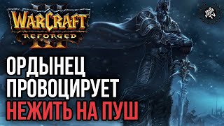 ОРДЫНЕЦ ПРОВОЦИРУЕТ НЕЖИТЬ НА ПУШ: Warcraft 3 Reforged