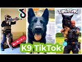 Best k9 TikTok Compilation | k9's of tiktok | Dogs of TikTok 2021
