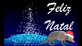 🎅🏻🎄 Tatuzinho de Natal- 🎄🎅🏻 - BOAS FESTAS - FELIZ NATAL