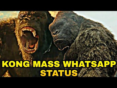 🔥Kong mass Whatsapp status🔥