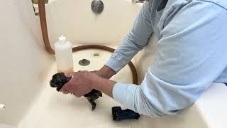 Willow's Schnoodle puppies first bath - April 29, 2026