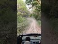 Tiger in National Park#viral #nature #lifeisbutadream #trending #tiger