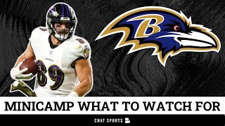 Baltimore Ravens Minicamp Preview | Lamar Jackson, JK Dobbins & Mark Andrews | Ravens Rumors