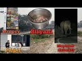 Homemade briyani  elephant attack 