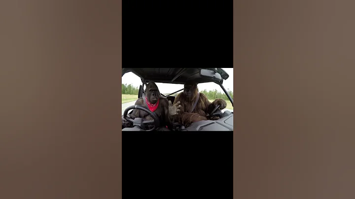 Bigfoot vlogs #veo3 #funny #aivideo #gorilla #funnymemes #fypシ゚viral #memes #viral #viralmemes