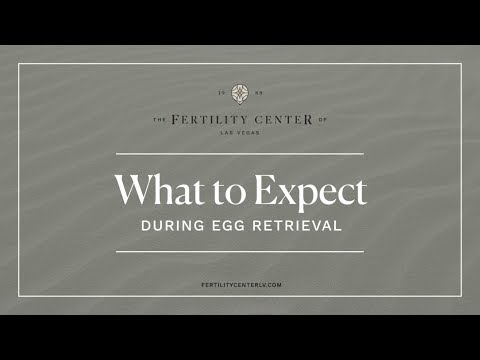 What to Expect During Egg Retrieval