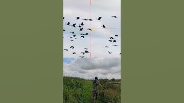 SEMIAUTONYA MAU KITA BAWA KE SPOT BELIBIS RIBUAN