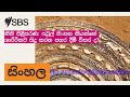 නීති පිළිසරණ: පවුල් හිංසන කියන්නේ ශාරීරිකව සිදු කරන පහර දීම් විතර ද? | SBS Sinhala - SBS සිංහල...