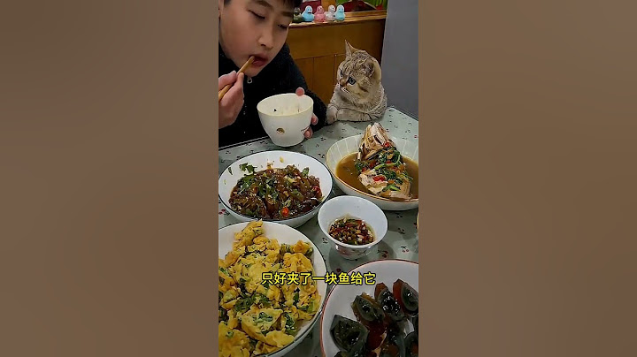 为了能吃到菜   猫咪的举动真是太可爱了