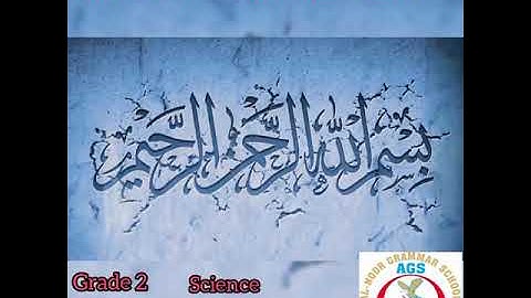 AL NOOR GRAMMAR SCHOOL BHARTH SIALKOT Class Two Lec 5 Science
