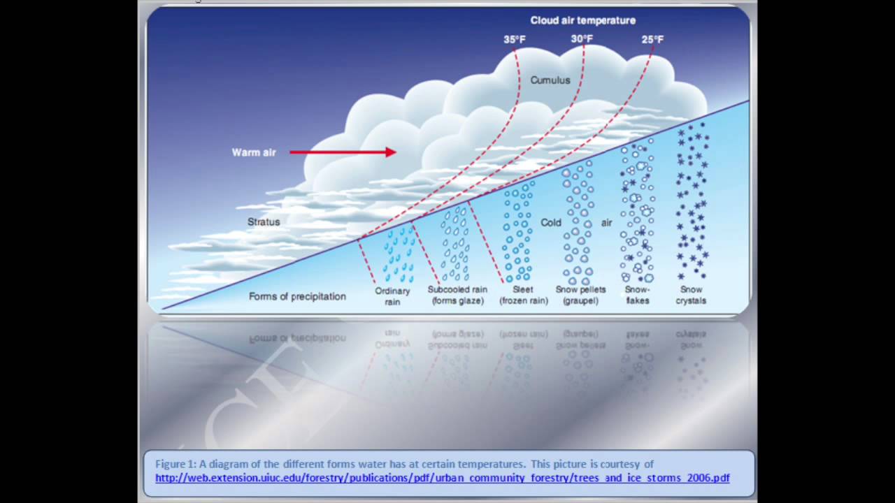 Risk of ice. Схема образования шторма. Схемы шторм z. Классификация ледяного шторма. Диаграмма шторма.