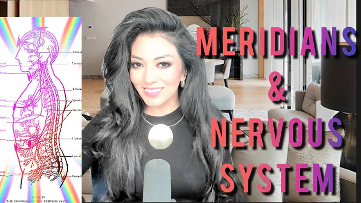 Day 4 - Meridians & Nervous System - 30 Days Alche...