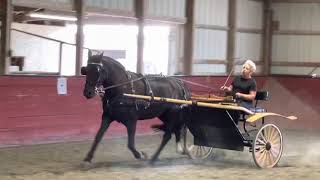 Flicka:extended trot