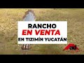 Venta del Rancho Santa Rosa en Tizimín, Yucatán