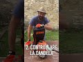 Manutenzione DECESPUGLIATORE: 3 controlli da fare