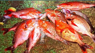 Penasaran Kemaren Di Spot Sini Banyak Yang Nyangkut Mancing Ikan Kakap Merah