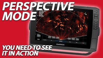 Garmin LiveScope Perspective Mode is Amazing | Chinook Salmon on LiveScope